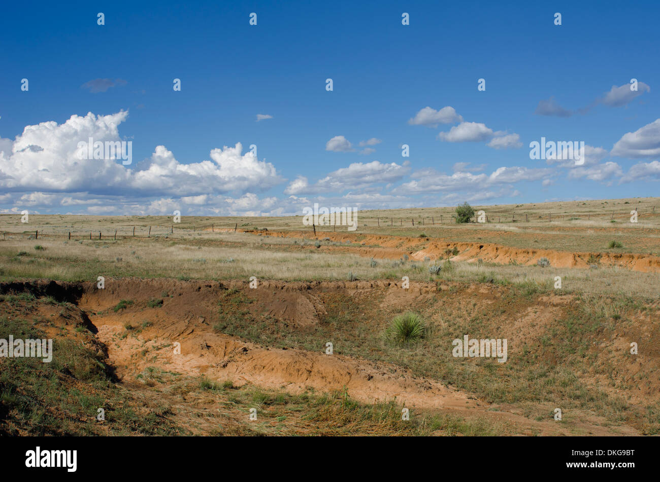 An historic piece of land in Northeastern New Mexico is the site of many old wagon wheel ruts from the Santa Fe Trail. Stock Photo