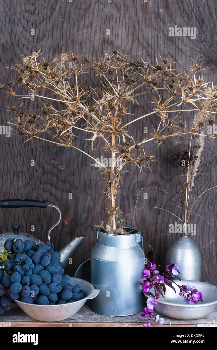 Still life with dry prairie prickly flowers and grapes Stock Photo