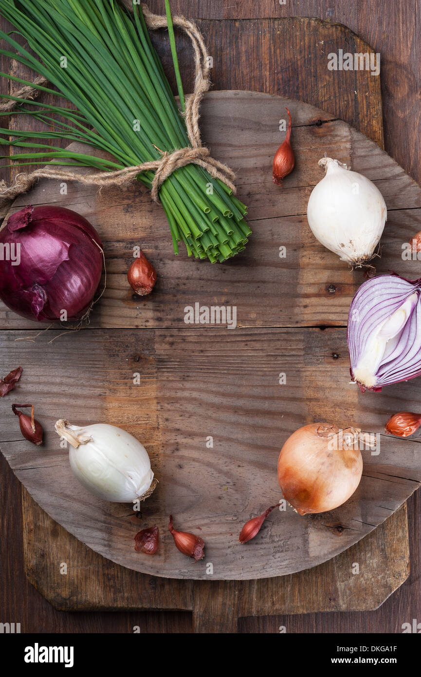 Different varieties of onions Stock Photo - Alamy