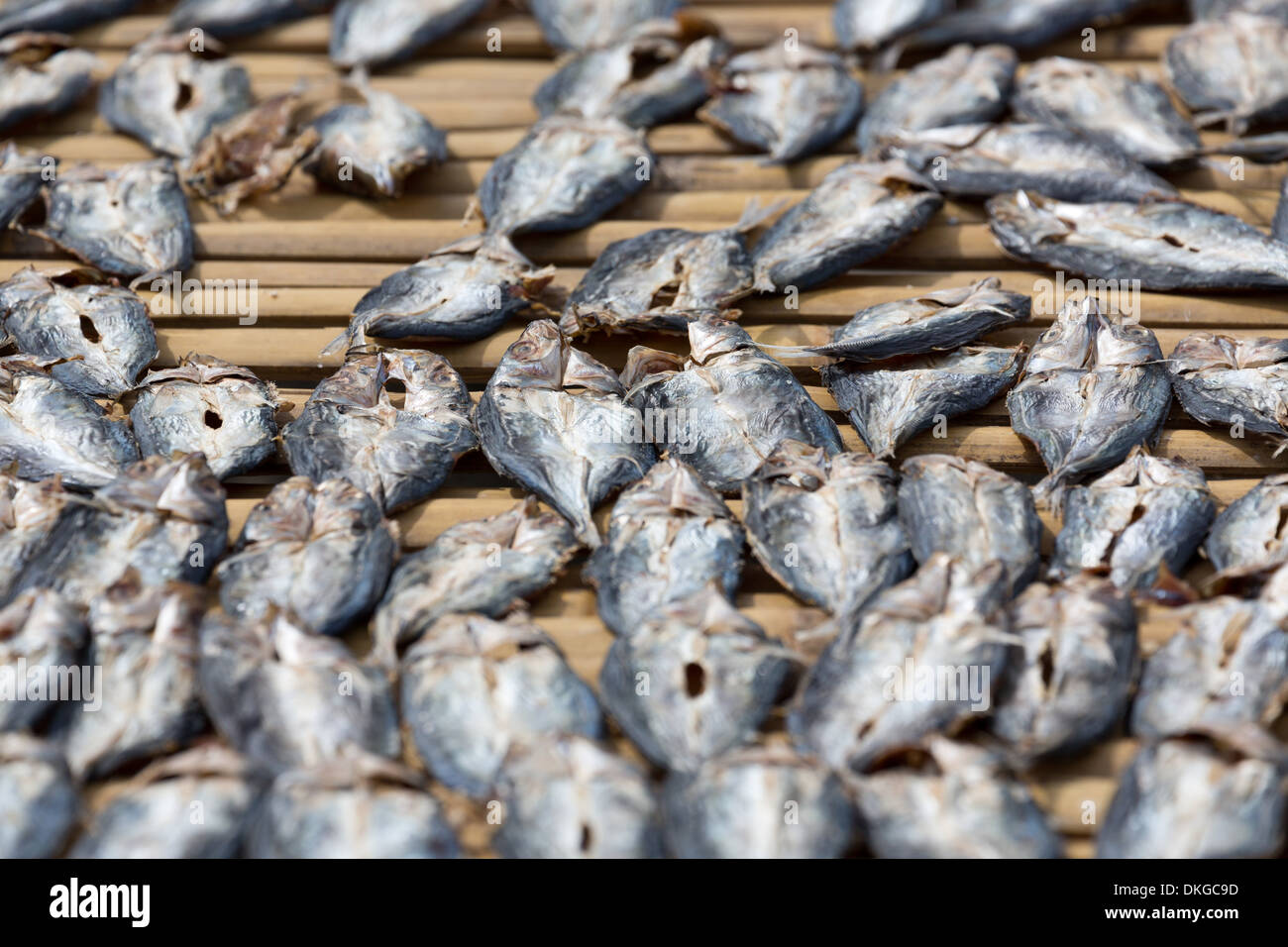 Dried Fish on a market in Tagbilaran, Bohol, Philippines Stock Photo