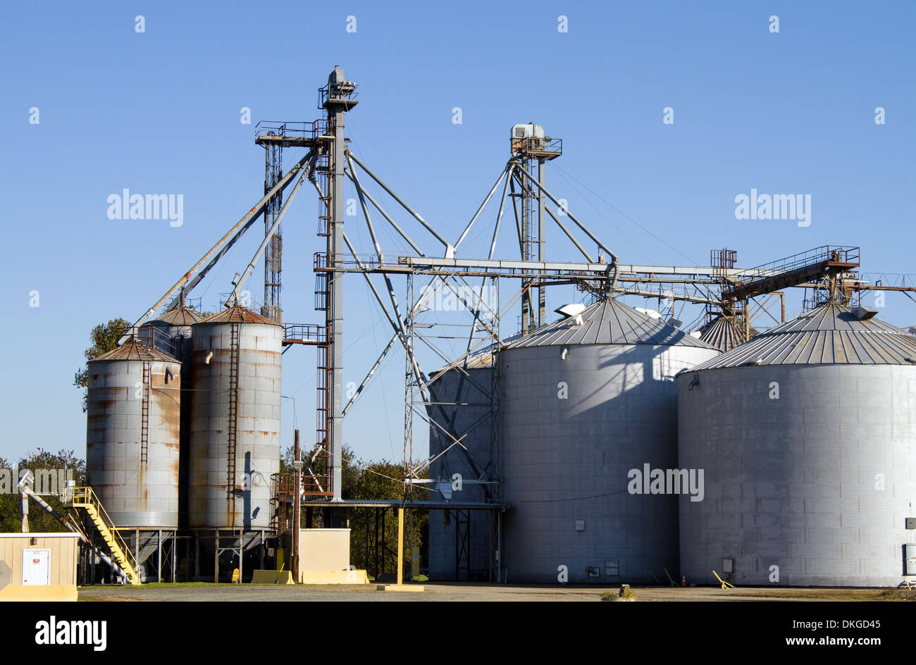 Grain storage silos with elevator equipment to move bulk crops to the