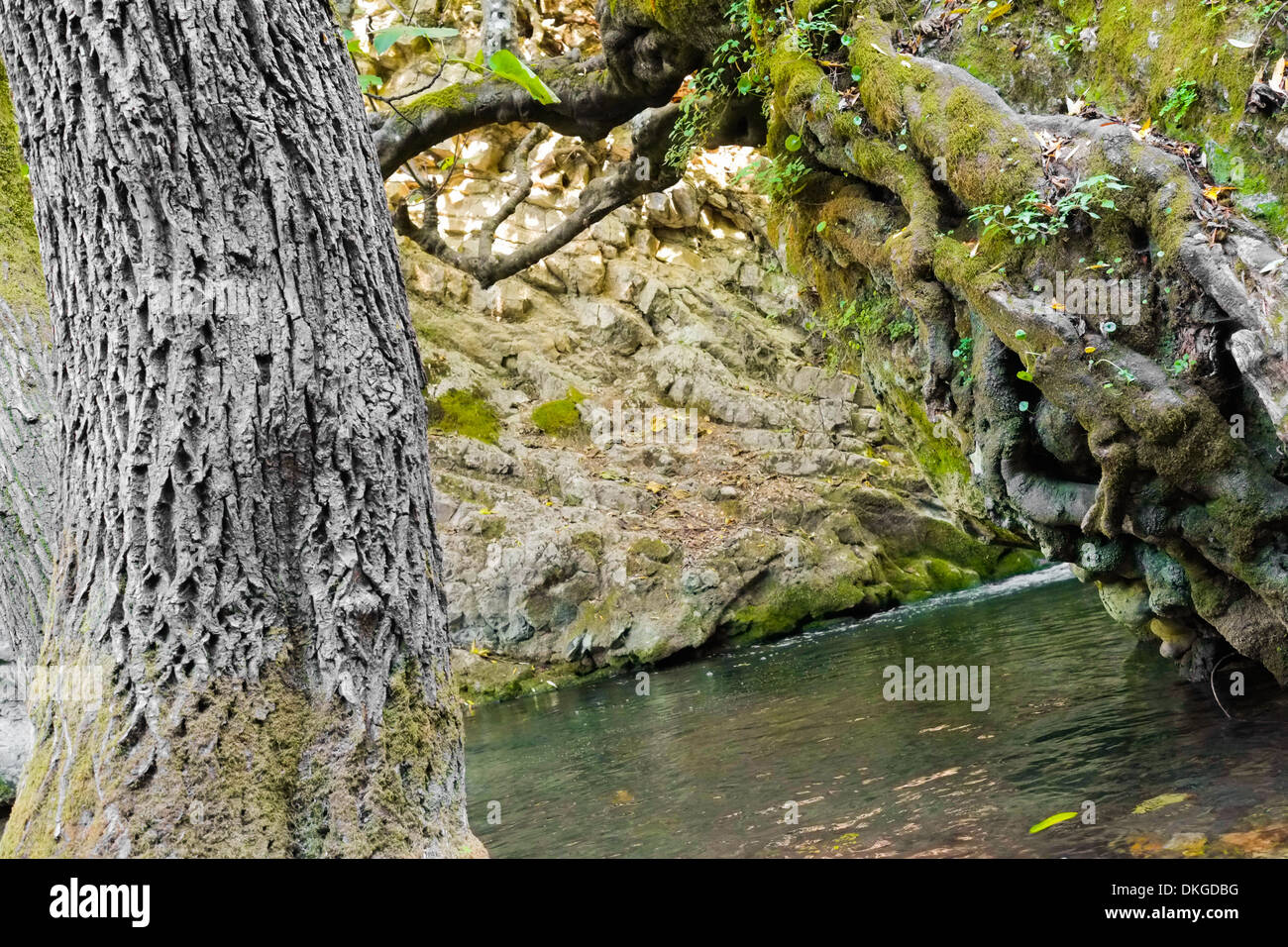 River Majaceite between the towns of El Bosque and Benamahoma on the  province of Cadiz, Spain Stock Photo - Alamy