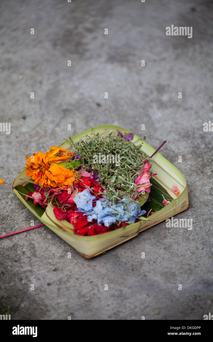 Offering Bowl on the Street in Kuta on Bali, Indonesia Stock Photo