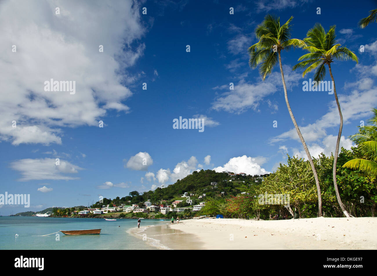 Grand Anse Beach, Grenada, Windward Islands, Lesser Antilles, Antilles, the Carribean, America Stock Photo