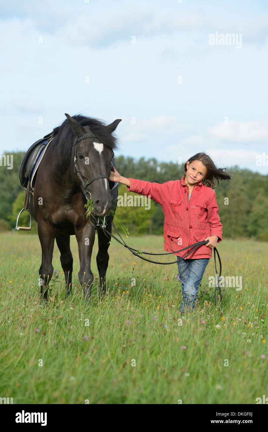 Girl standing with an Arabian Haflinger on a meadow Stock Photo