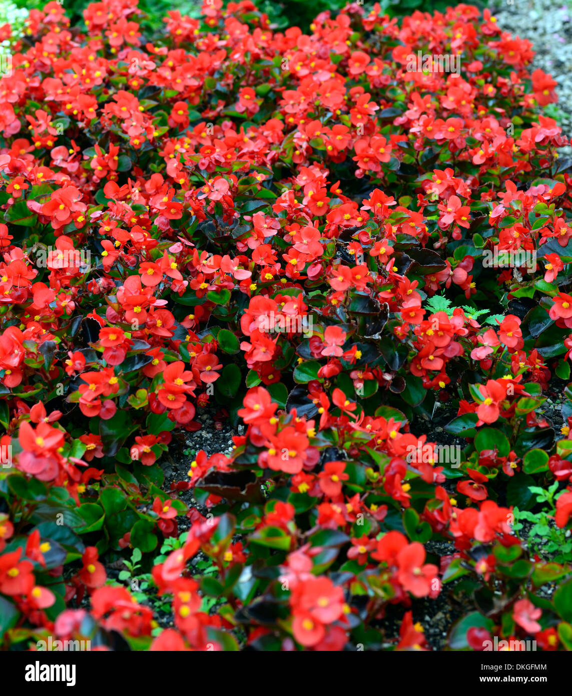 Untitled, image size:1143x1390