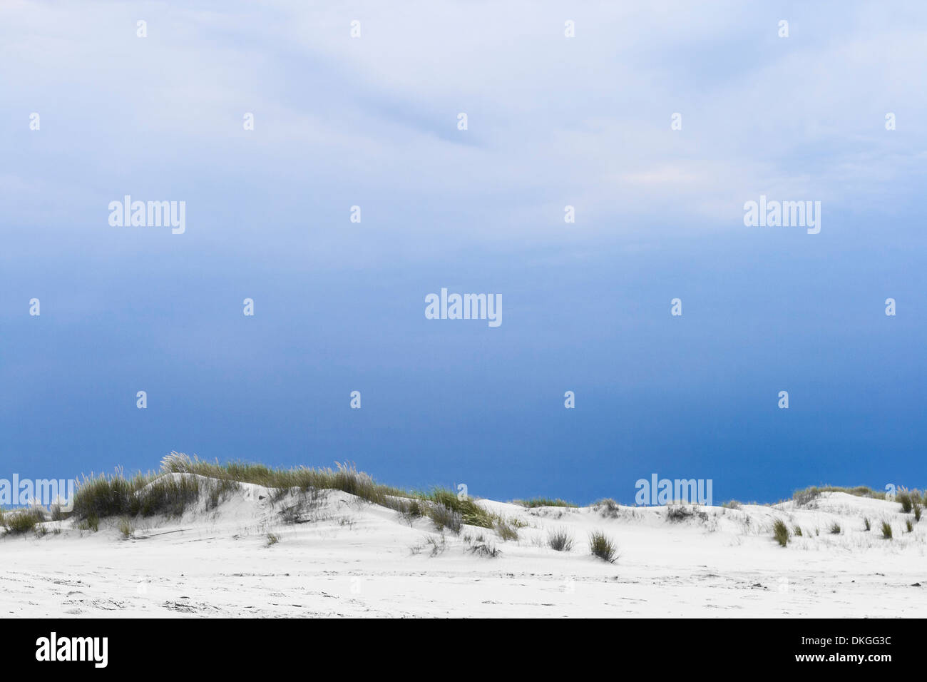 Dunes, Amrum, Schleswig-Holstein, Germany, europe Stock Photo