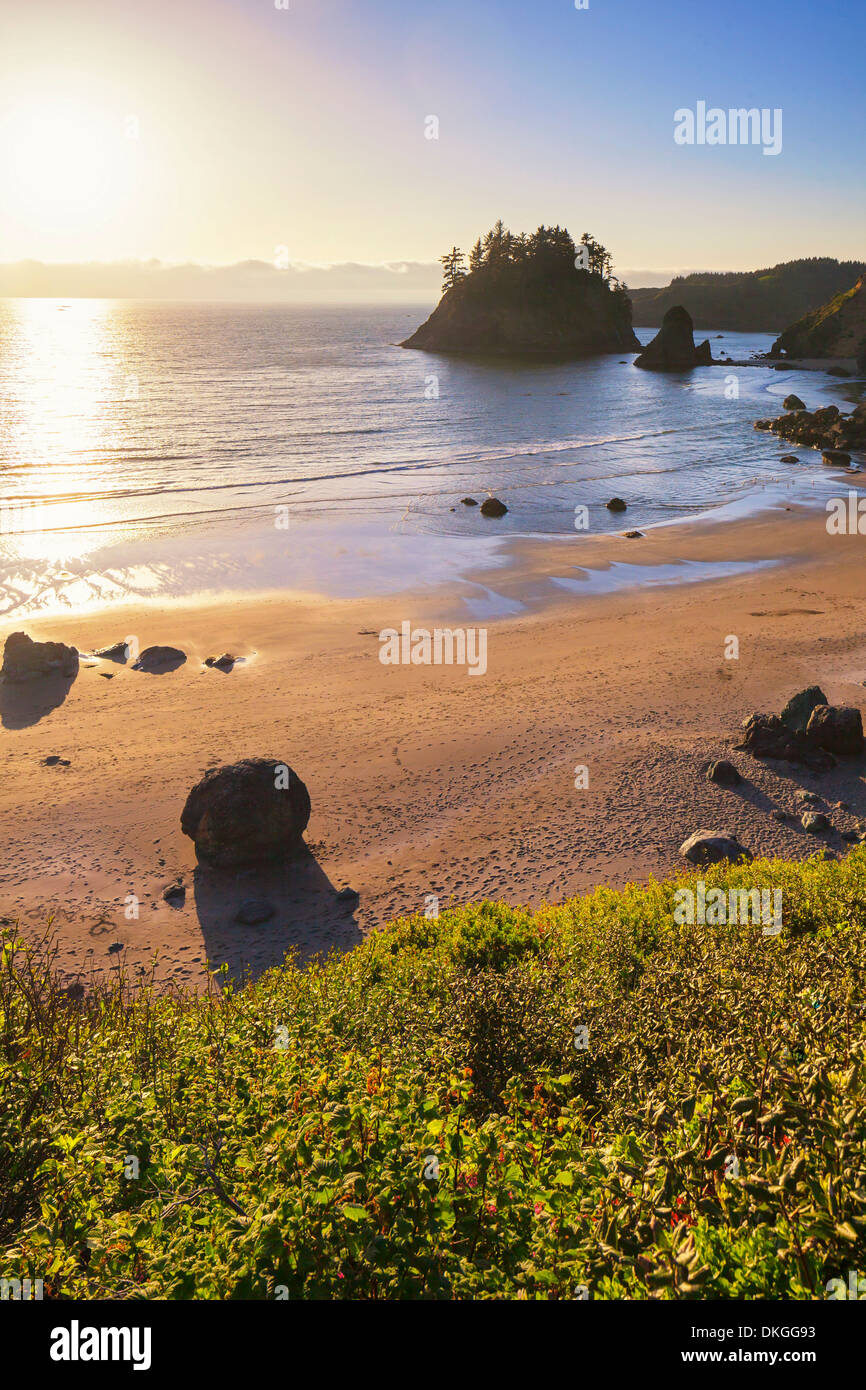 Escape to Paradise:  Trinidad State Beach - Your California Dream Vacation Awaits