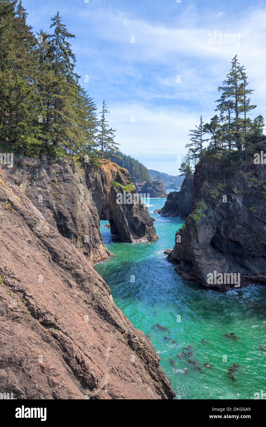 Cliff coast in Samuel H Boardman State Park, Oregon, USA Stock Photo