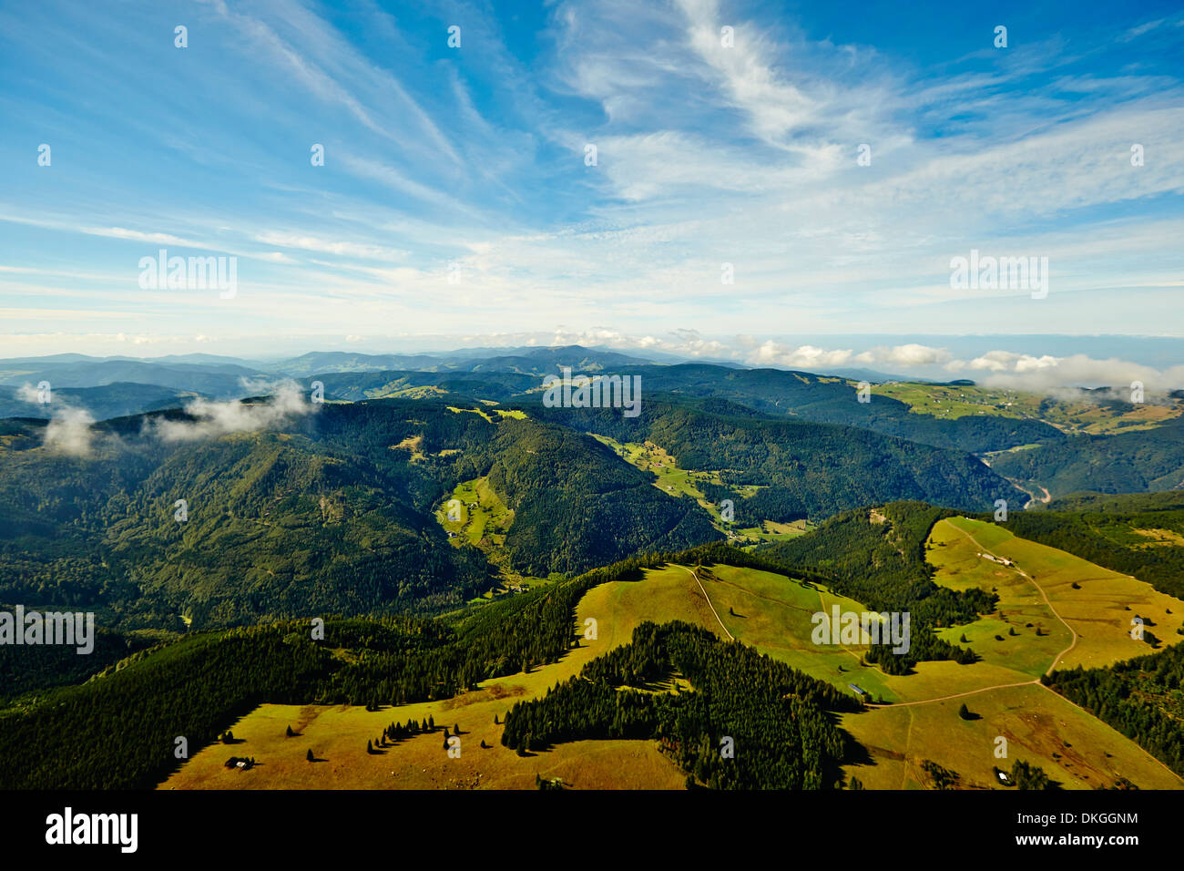 Pastures and forest in Black Forest, Oberried, Baden-Wuerttemberg, Germany Stock Photo