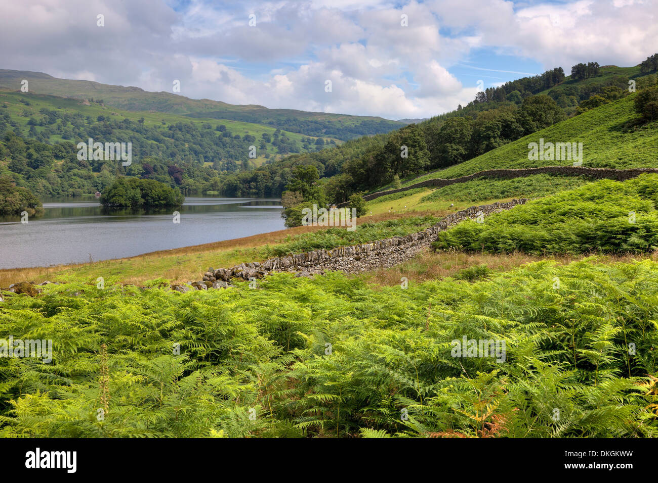 Looking over the bracken towards Rydal Water, the Lake District, Cumbria, England. Stock Photo
