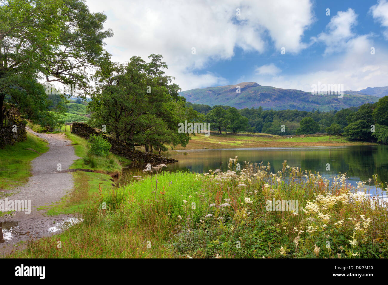 Rydal Water near Grasmere, the Lake District, Cumbria, England. Stock Photo