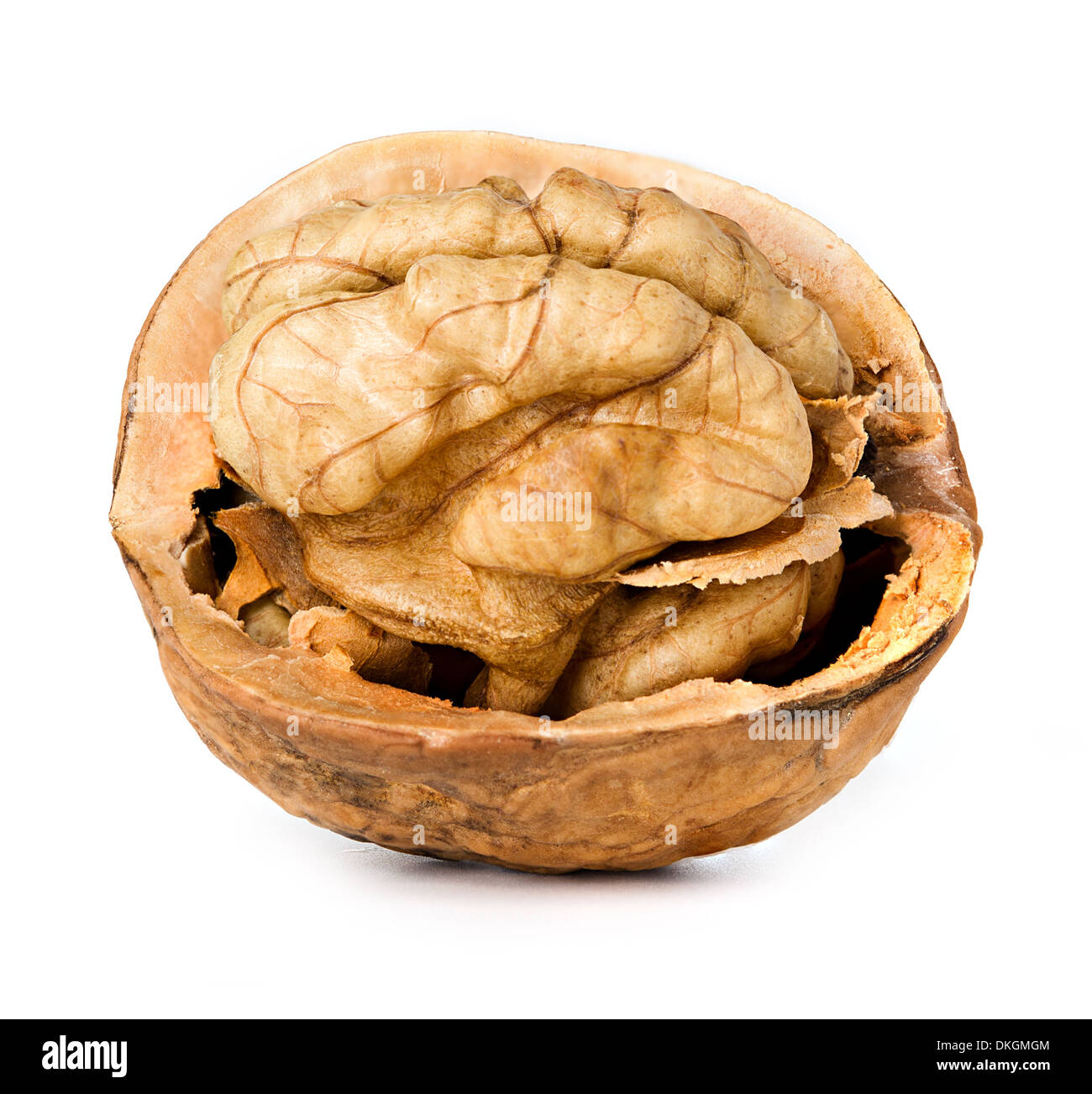 walnut half isolated on the white background Stock Photo Alamy