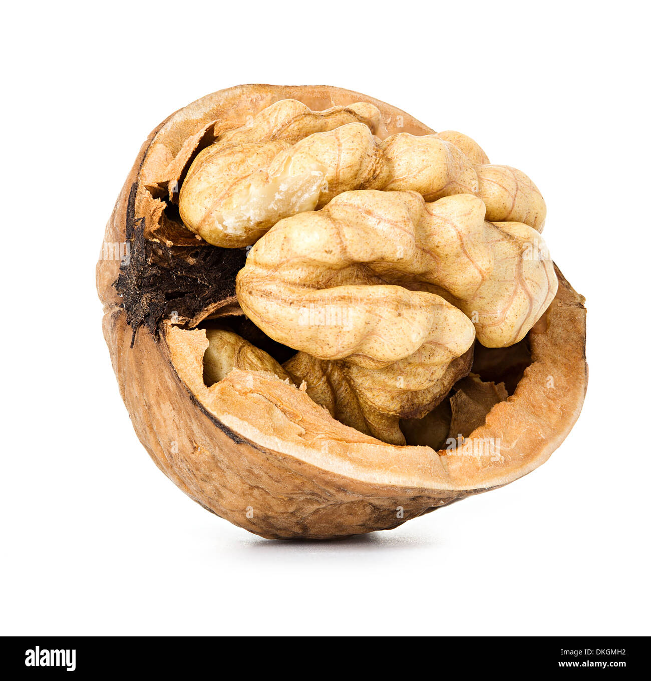 walnut half isolated on the white background Stock Photo Alamy