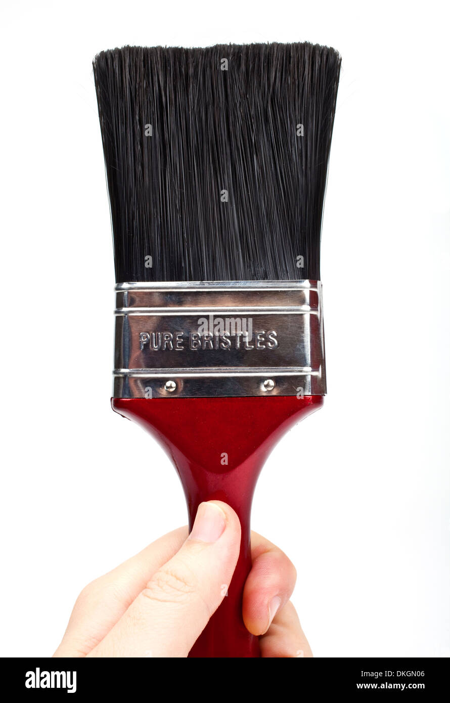 Hand holding a paint brush over a white background. Stock Photo