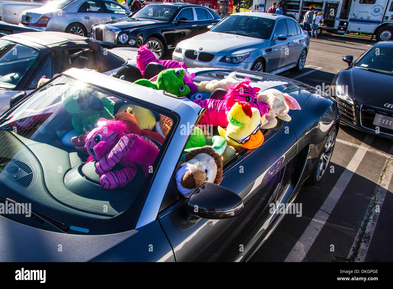 car stuffed animal