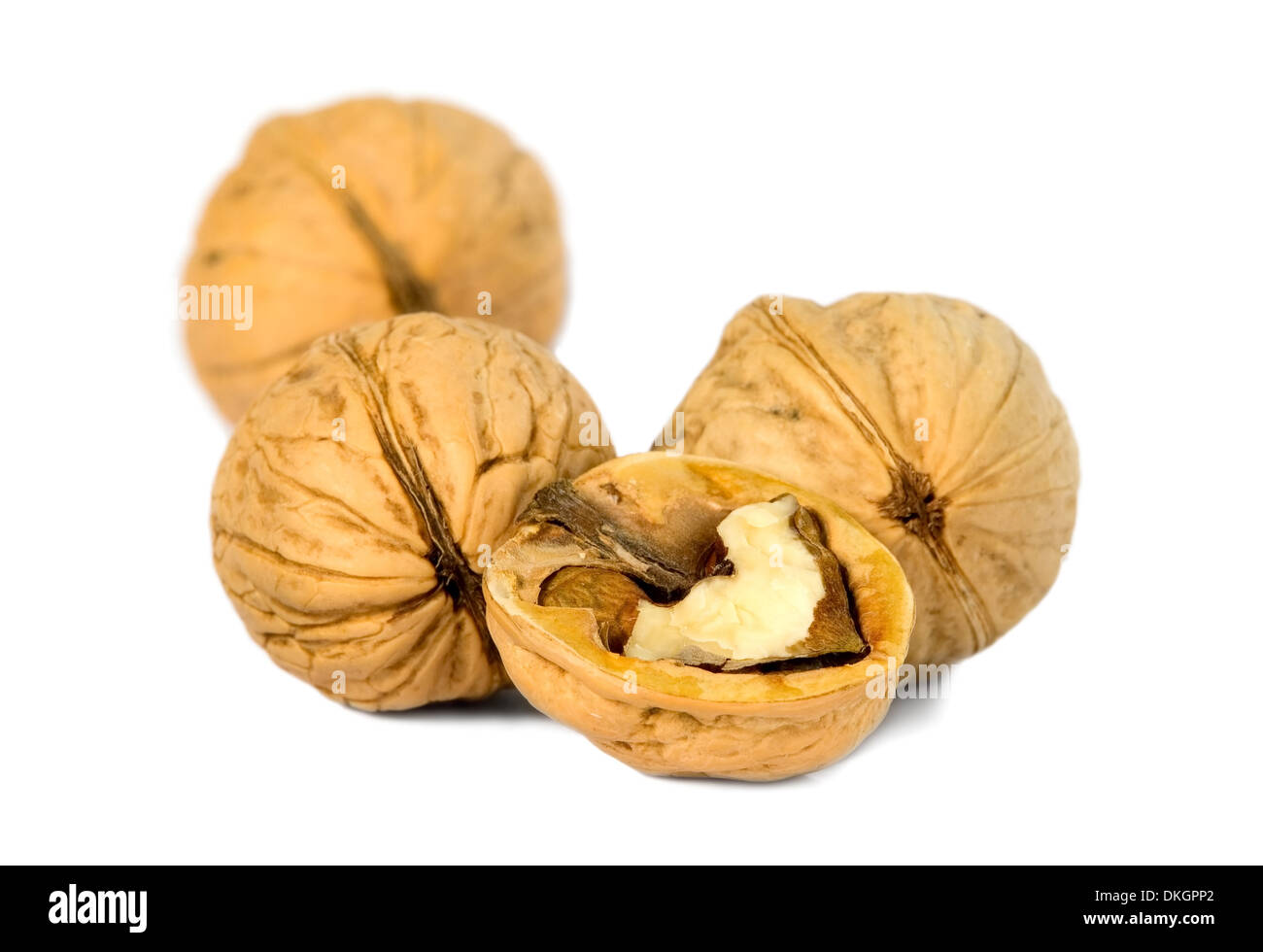 Brown greek nut on white isolated background Stock Photo