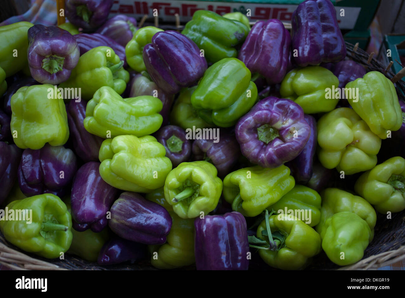 green and purple bell peppers Stock Photo Alamy