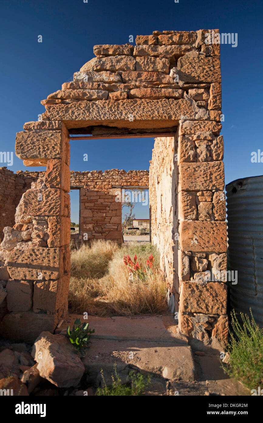 Stone walls and doorway - ruins of old store with wildflowers and grass at historic outback town of Milparinka NSW Australia Stock Photo