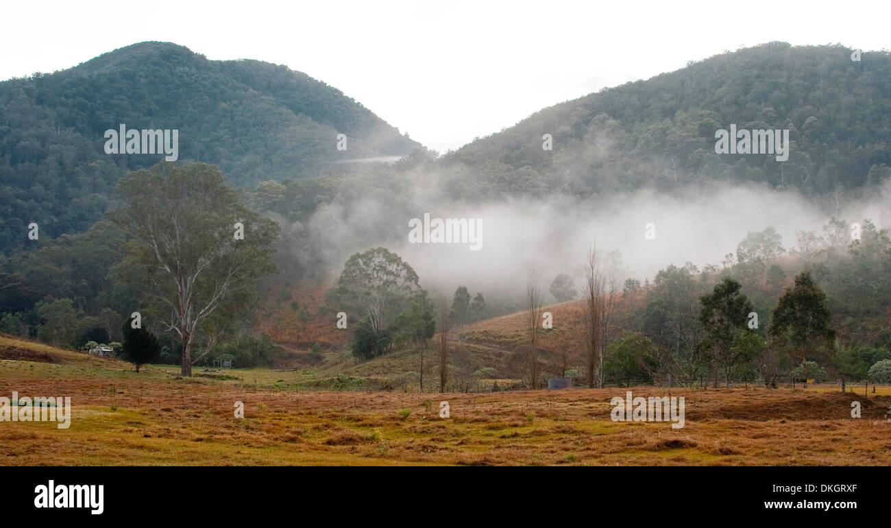 Landscape with dawn mist draped over forested hills at near the Macleay River near Kempsey, NSW Australia Stock Photo