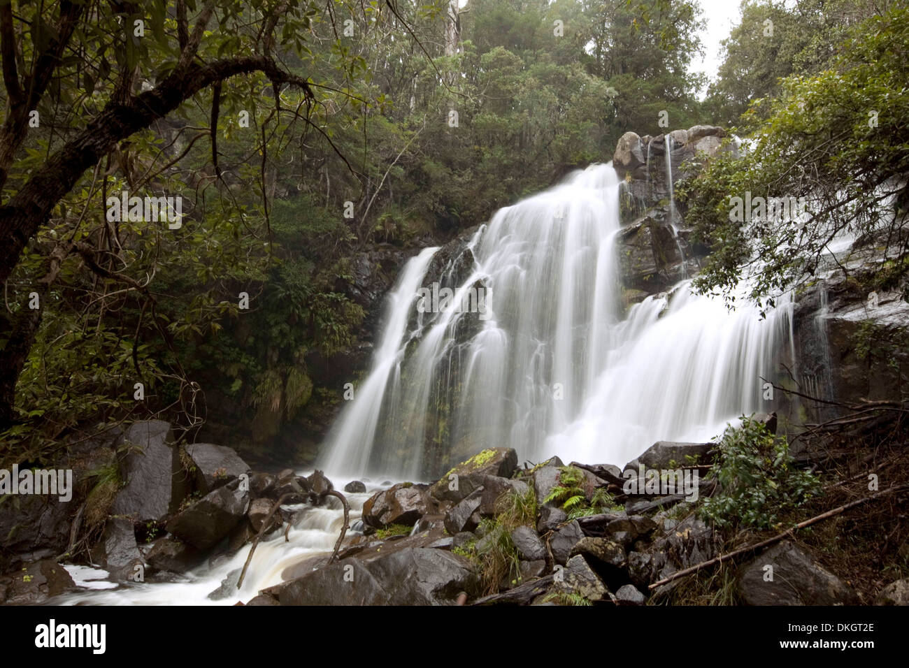 Spectacular waterfall, Snob's Creek Falls, tourist attraction in forest near Eildon in Victoria Australia, Stock Photo