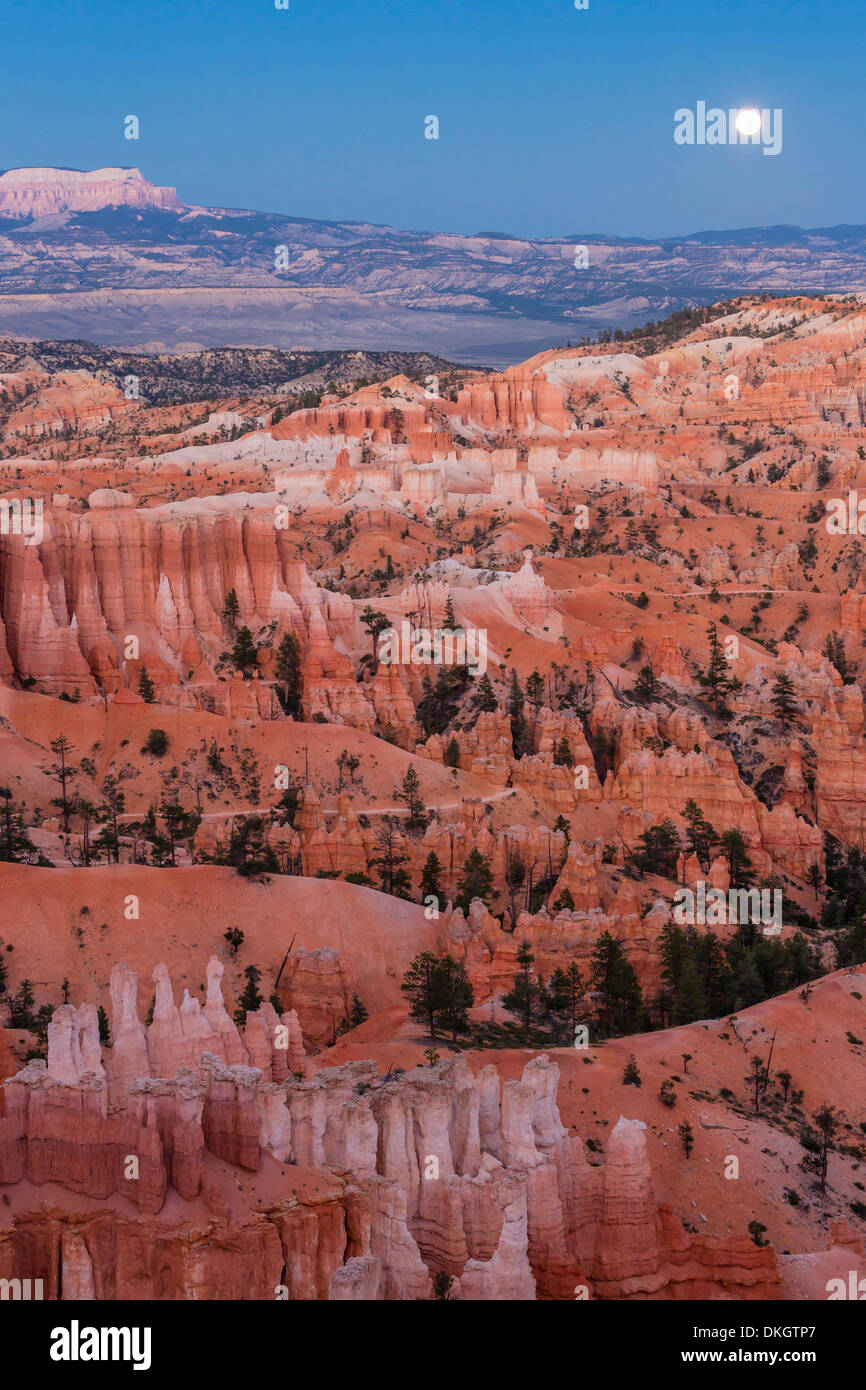 Moonrise over Bryce Canyon Amphitheater from Sunrise Point, Bryce Canyon National Park, Utah, USA Stock Photo