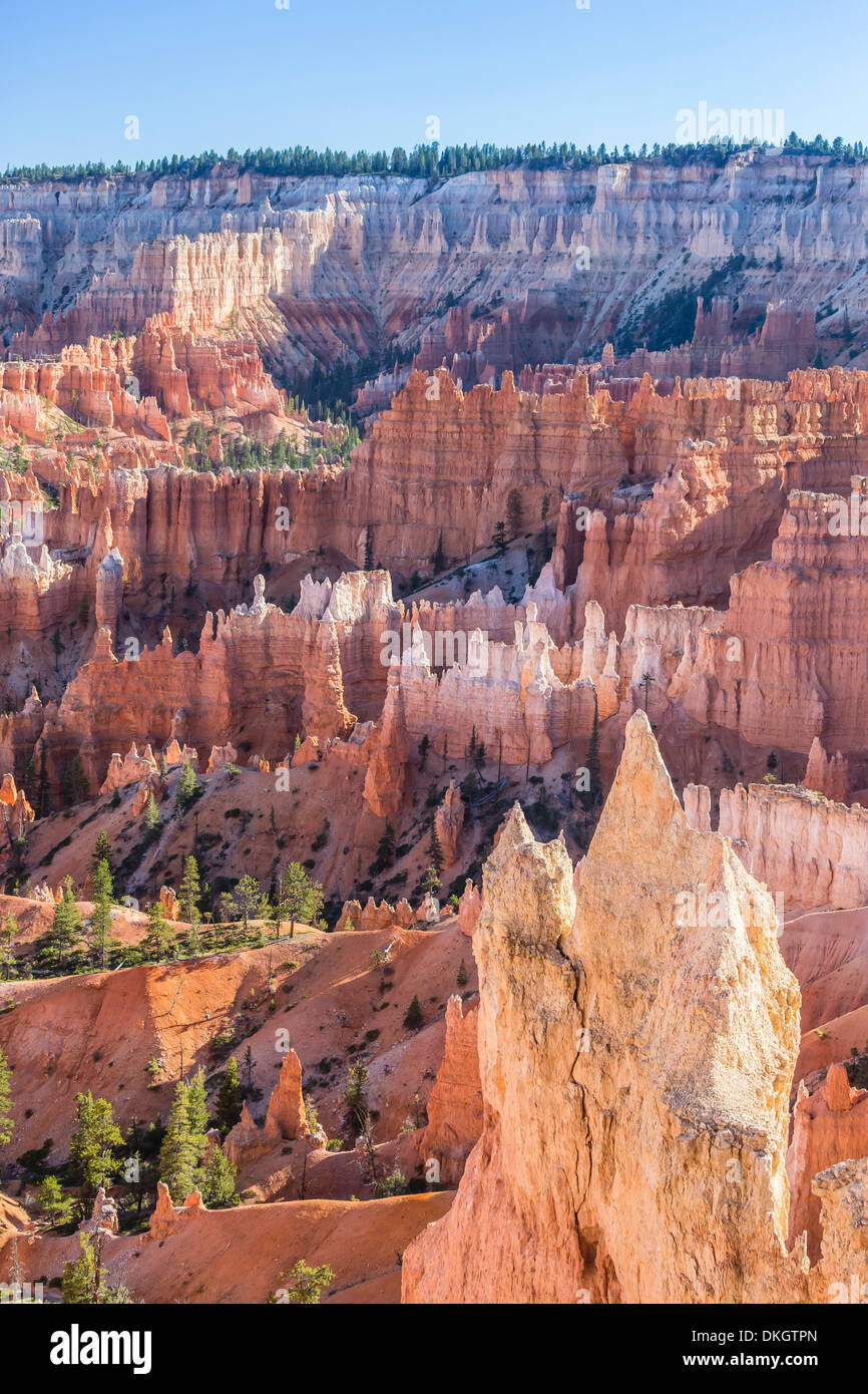 Hoodoo rock formations in Bryce Canyon Amphitheater, Bryce Canyon National Park, Utah, United States of America, North America Stock Photo