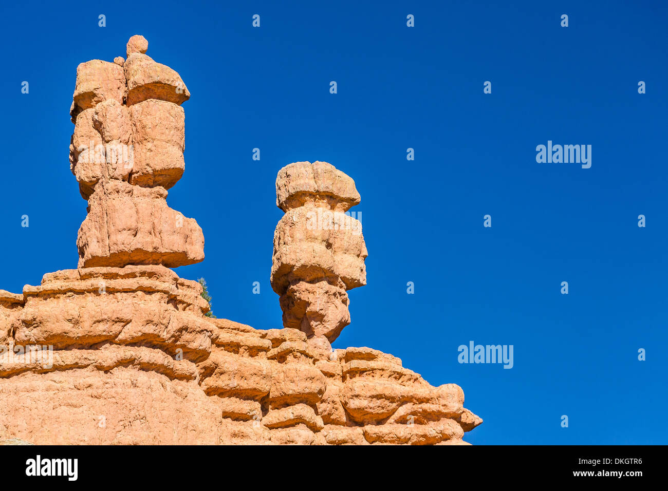 Hoodoo rock formations along scenic byway 12, Bryce Canyon National Park, Utah, United States of America, North America Stock Photo