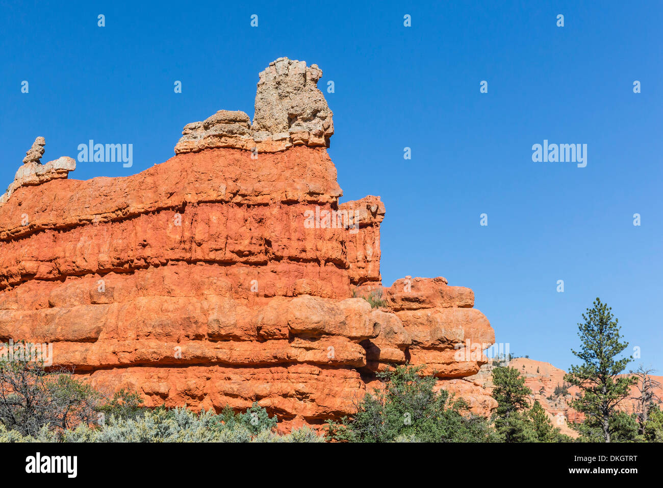 Red sandstone formations in Red Canyon, Dixie National Forest, Utah, United States of America, North America Stock Photo