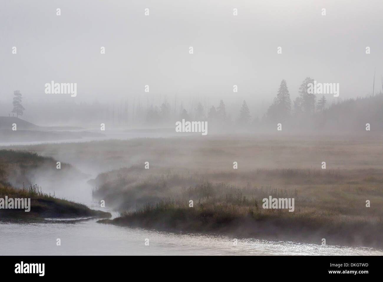 Early morning fog along the Madison River in Yellowstone National Park, UNESCO World Heritage Site, Wyoming, USA Stock Photo
