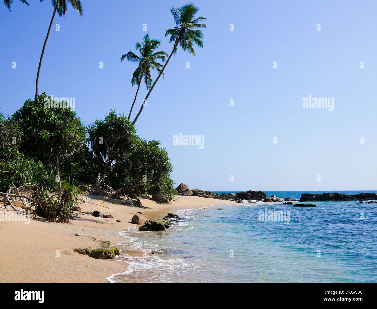 Beach close to Mirissa, Sri Lanka Stock Photo