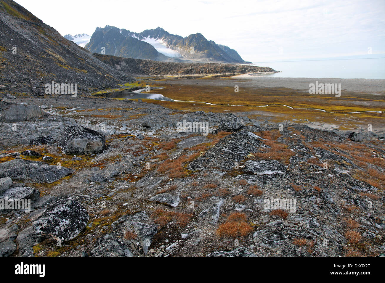 Glacial foreshore, Magdalenefjord, Svalbard Looking west Stock Photo