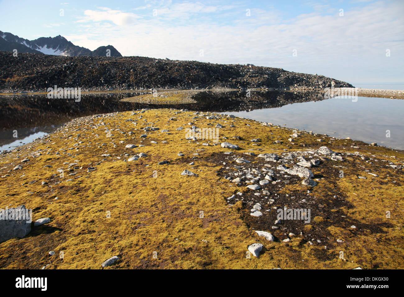 Glacial scree, foreshore, Trinity Hamn, Magdalenefjord, Svalbard Stock Photo