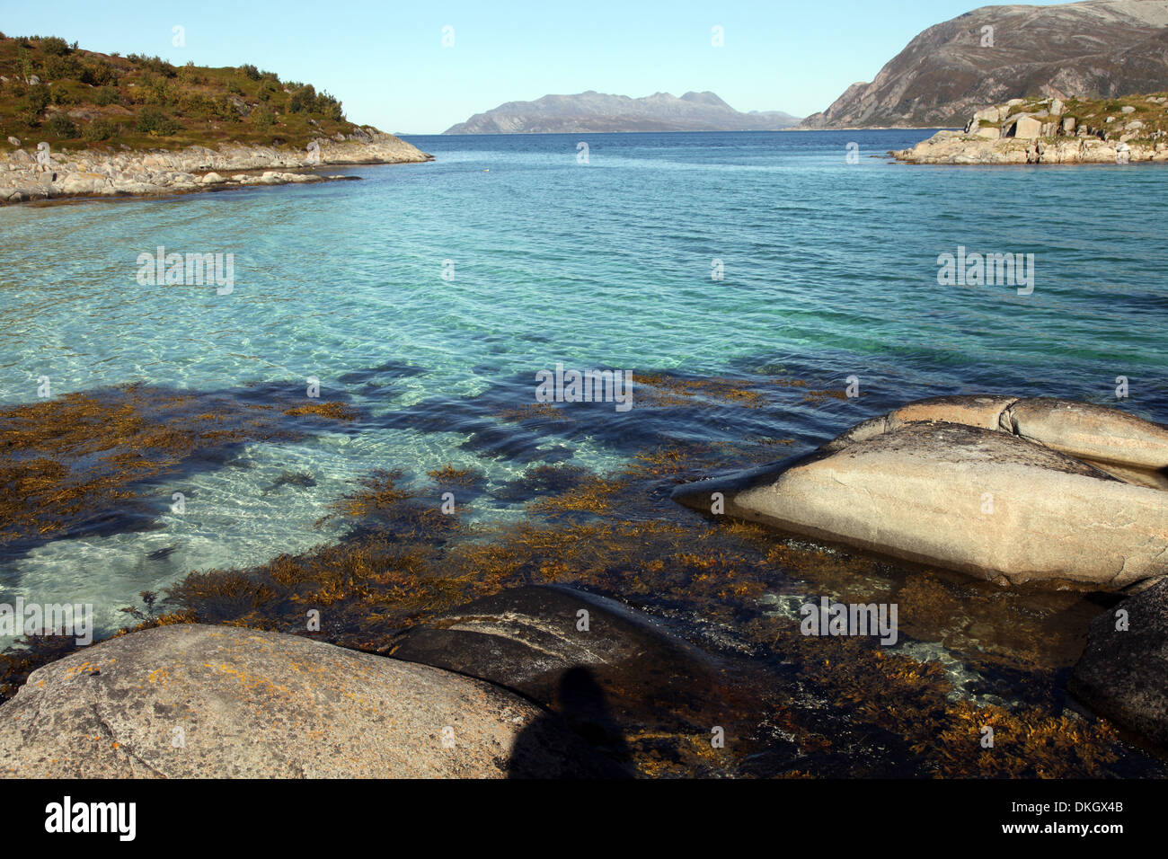 Rock and weed in harbour at Gasvaer, Kvalfjord, Troms, North Norway, Norway, Scandinavia, Europe Stock Photo