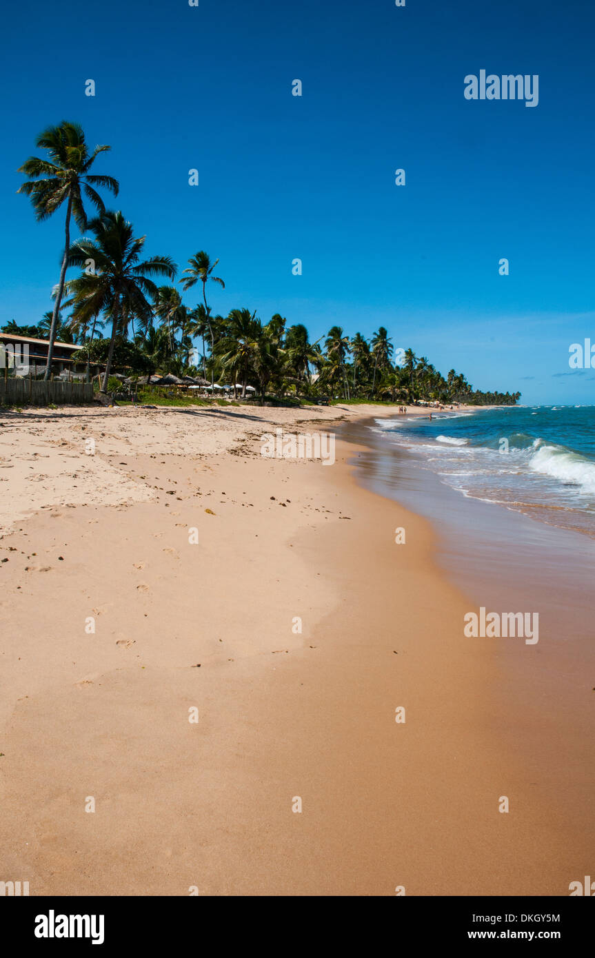 Tropical beach in Praia do Forte, Bahia, Brazil, South America Stock Photo