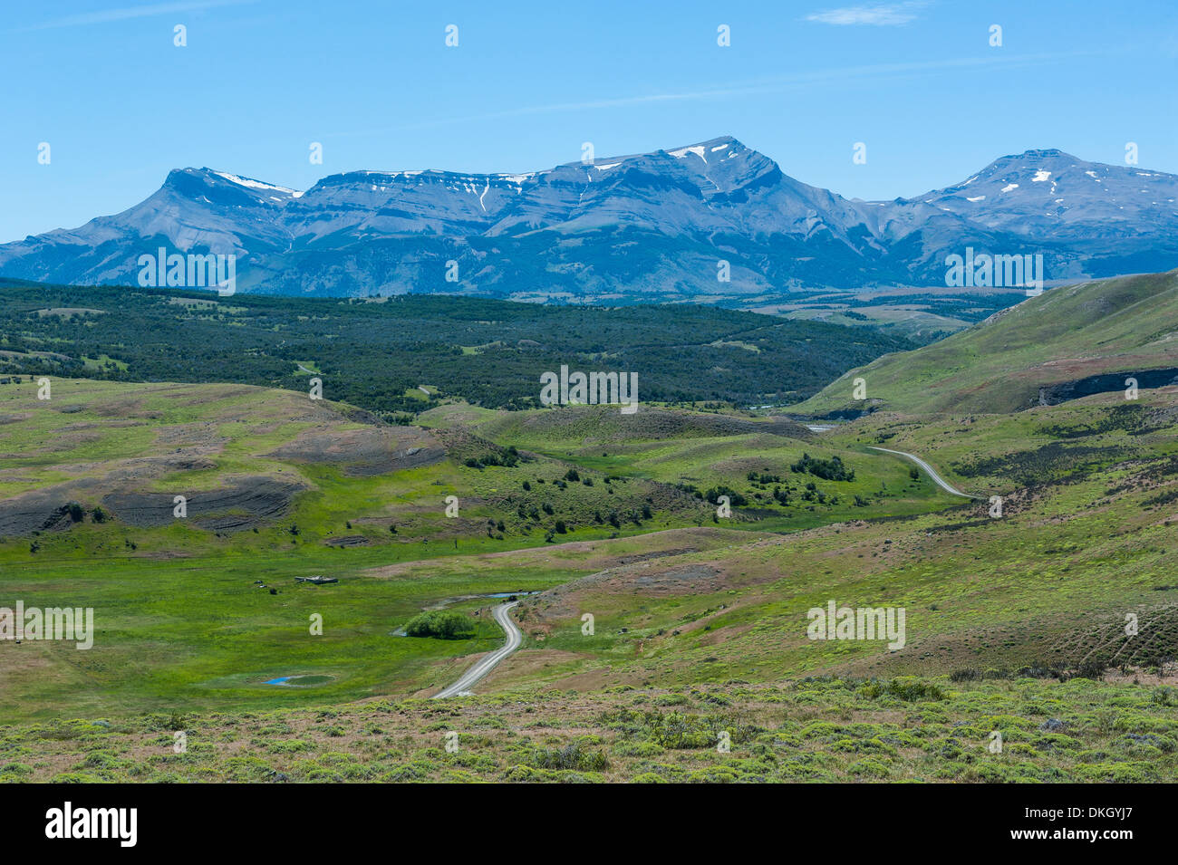 The savanna around the Torres del Paine National Park, Patagonia, Chile, South America Stock Photo
