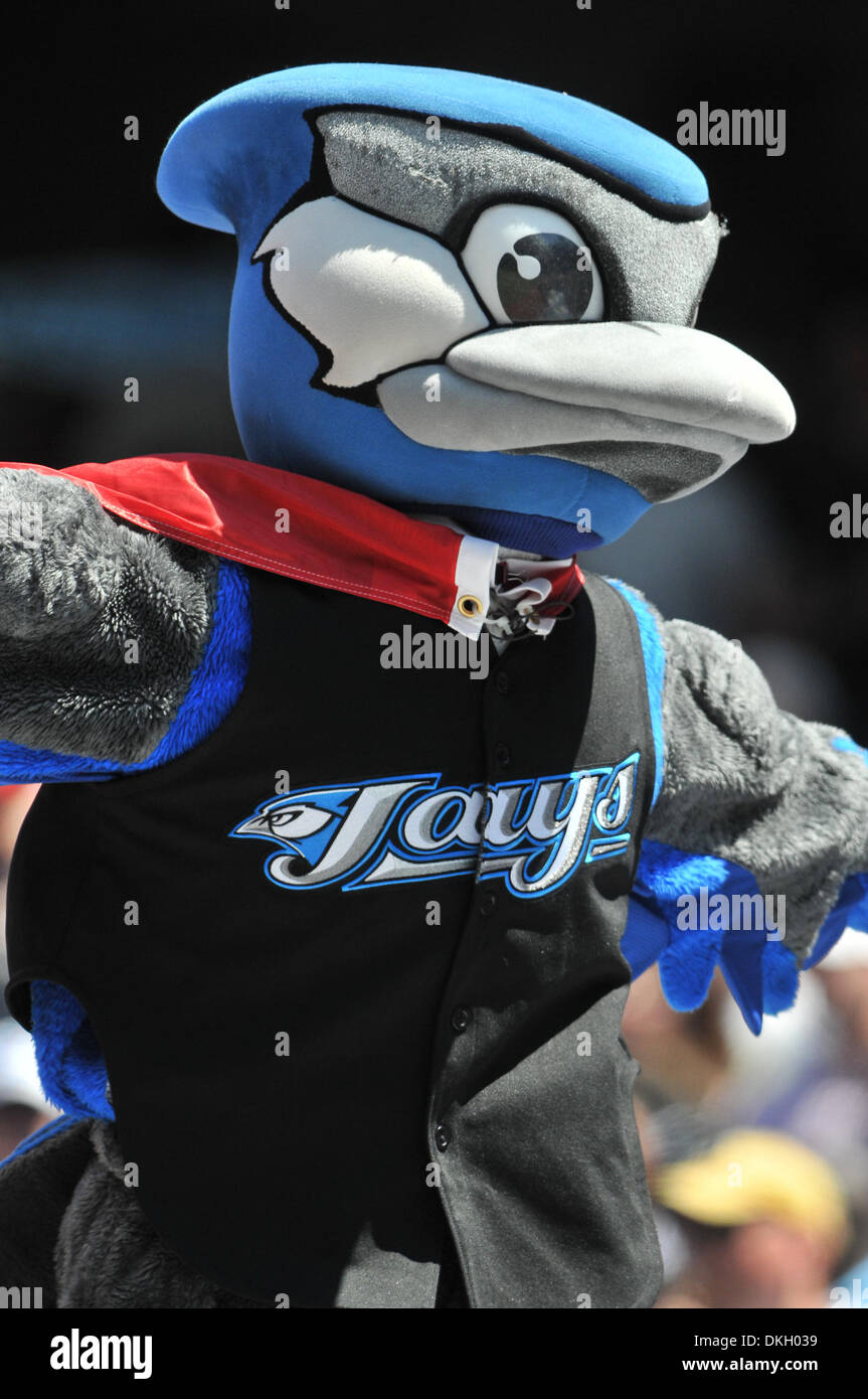 Toronto blue jays mascot hi-res stock photography and images - Alamy