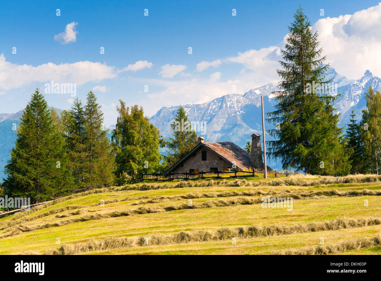 Grivola Mountain High Resolution Stock Photography And Images Alamy