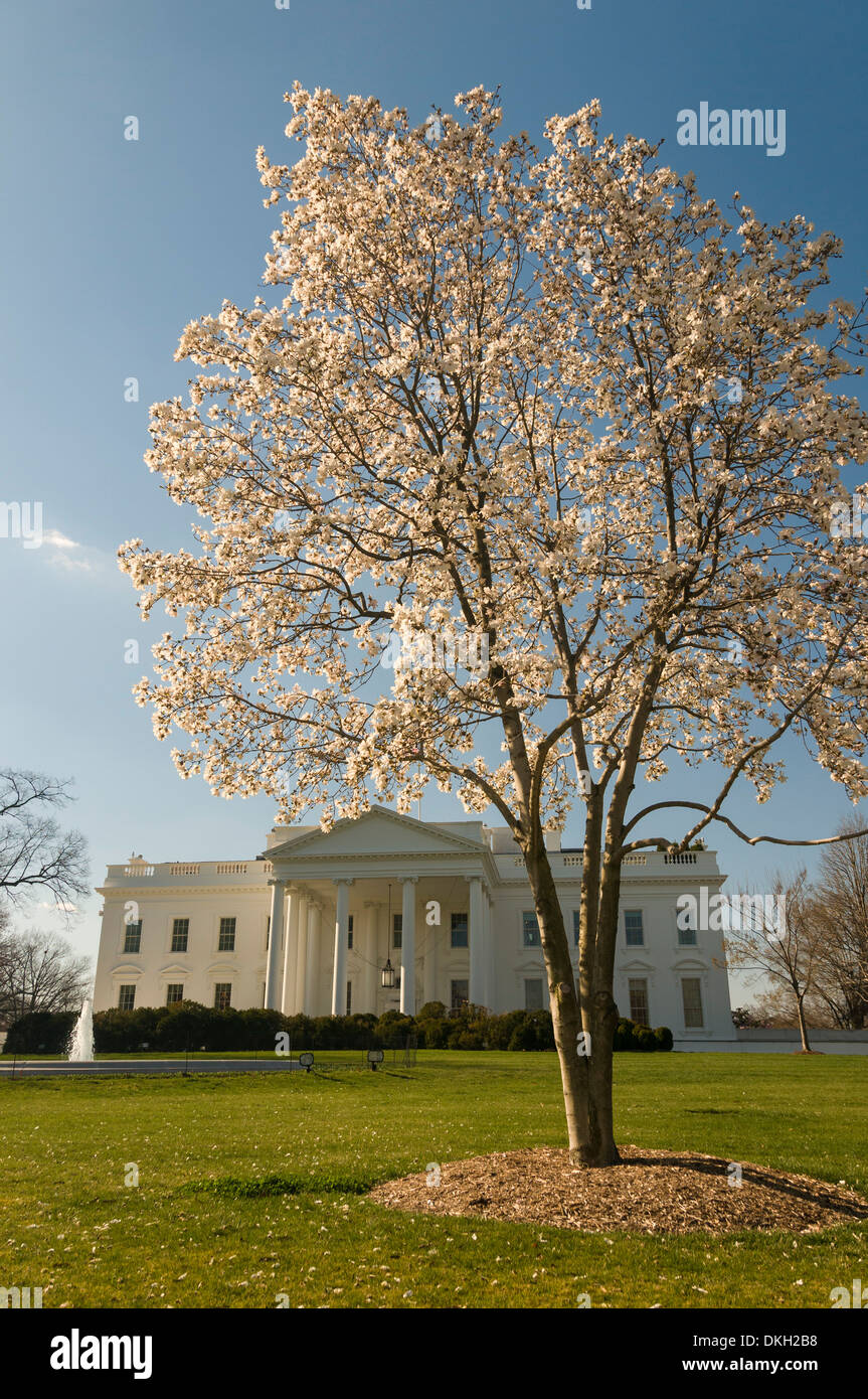 The White House, Washington, D.C., United States of America, North ...