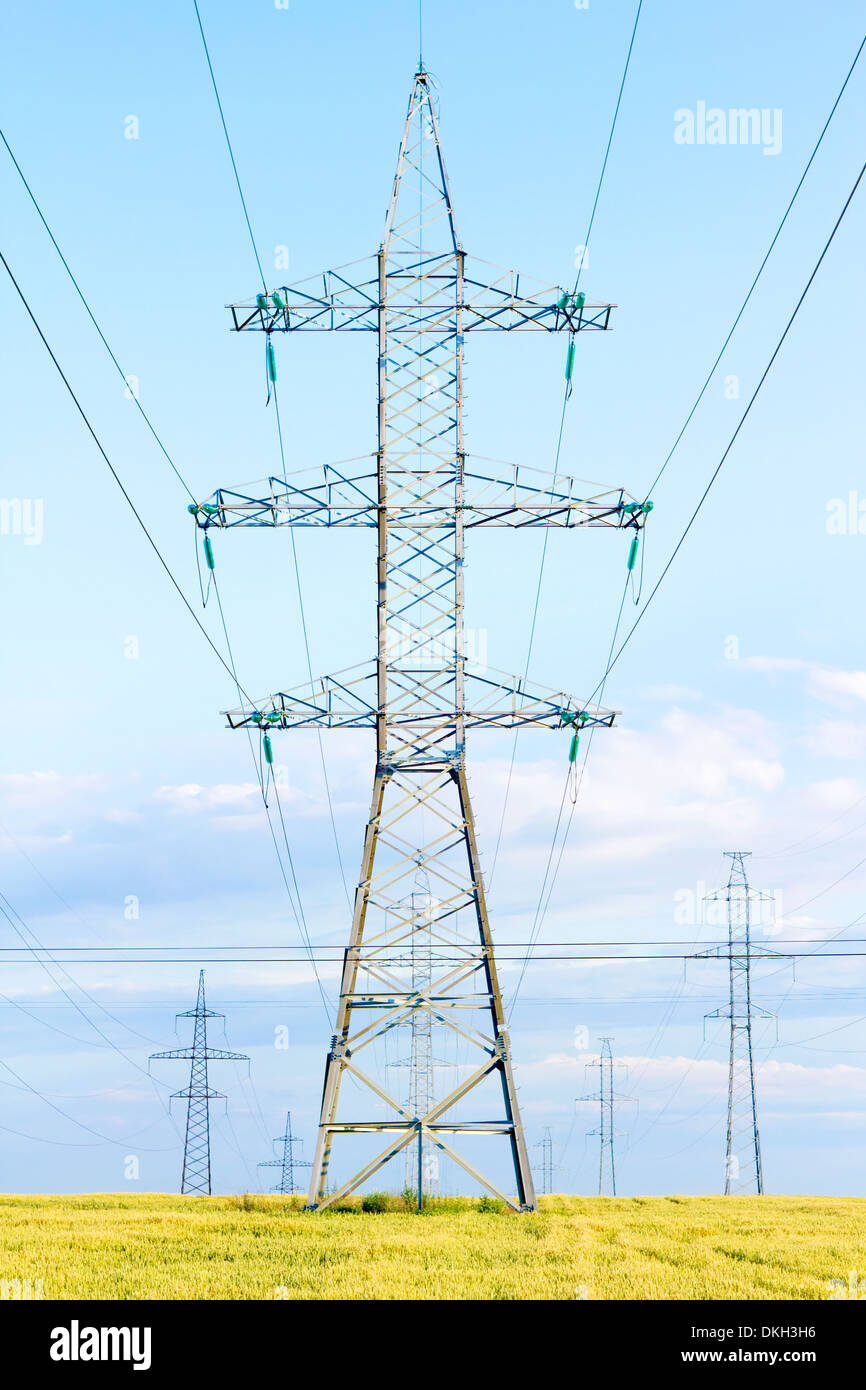 several transmission lines in the middle of a wheat field Stock Photo