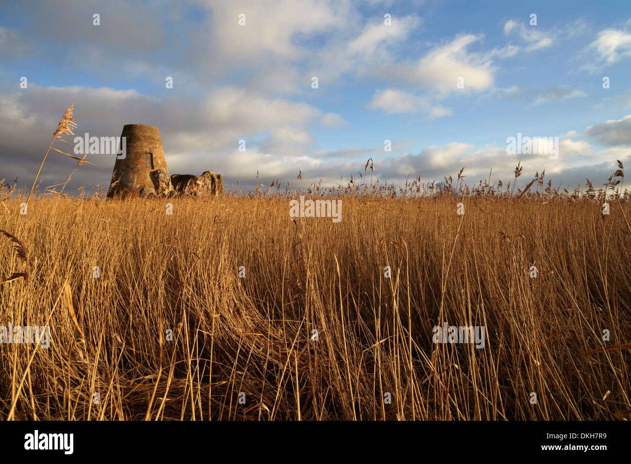 The remains of the 14th century St. Benet's Abbey and the windmill built within its walls near Ludham, Norfolk, England, UK Stock Photo