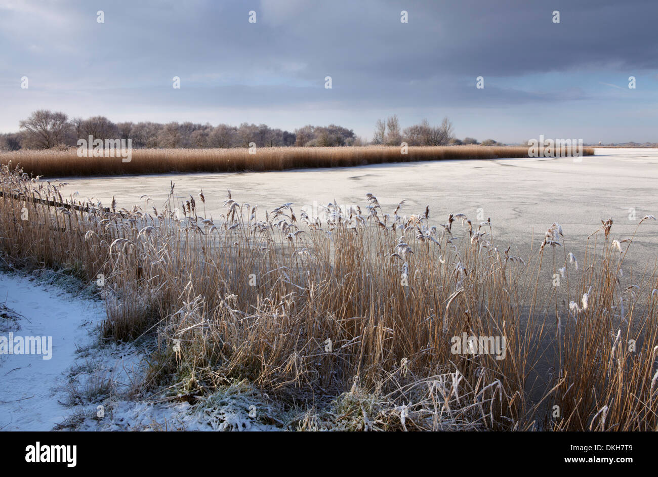 A cold winter day in the Norfolk Broads showing a frozen Horsey Mere, Horsey, Norfolk, England, United Kingdom, Europe Stock Photo