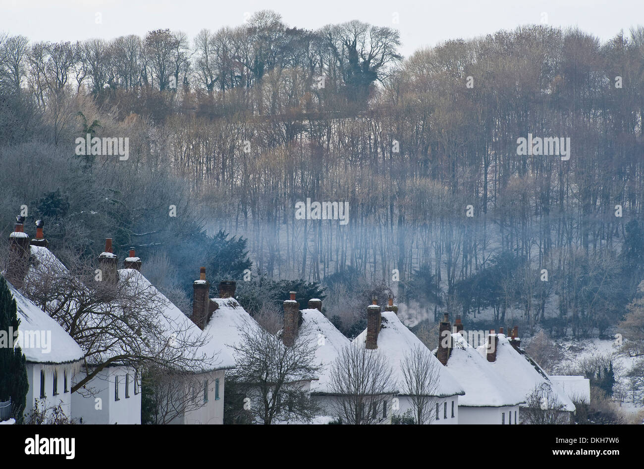 Top of houses in Milton Abbas, Dorset, England Stock Photo Alamy