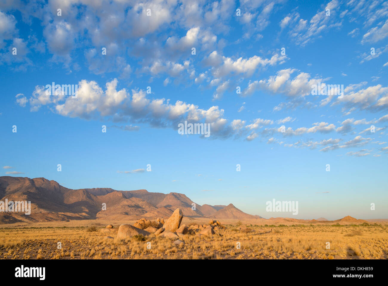 Boulders on the plains below the Brandberg mountain range at sunrise, Damaraland, Namibia, Africa Stock Photo