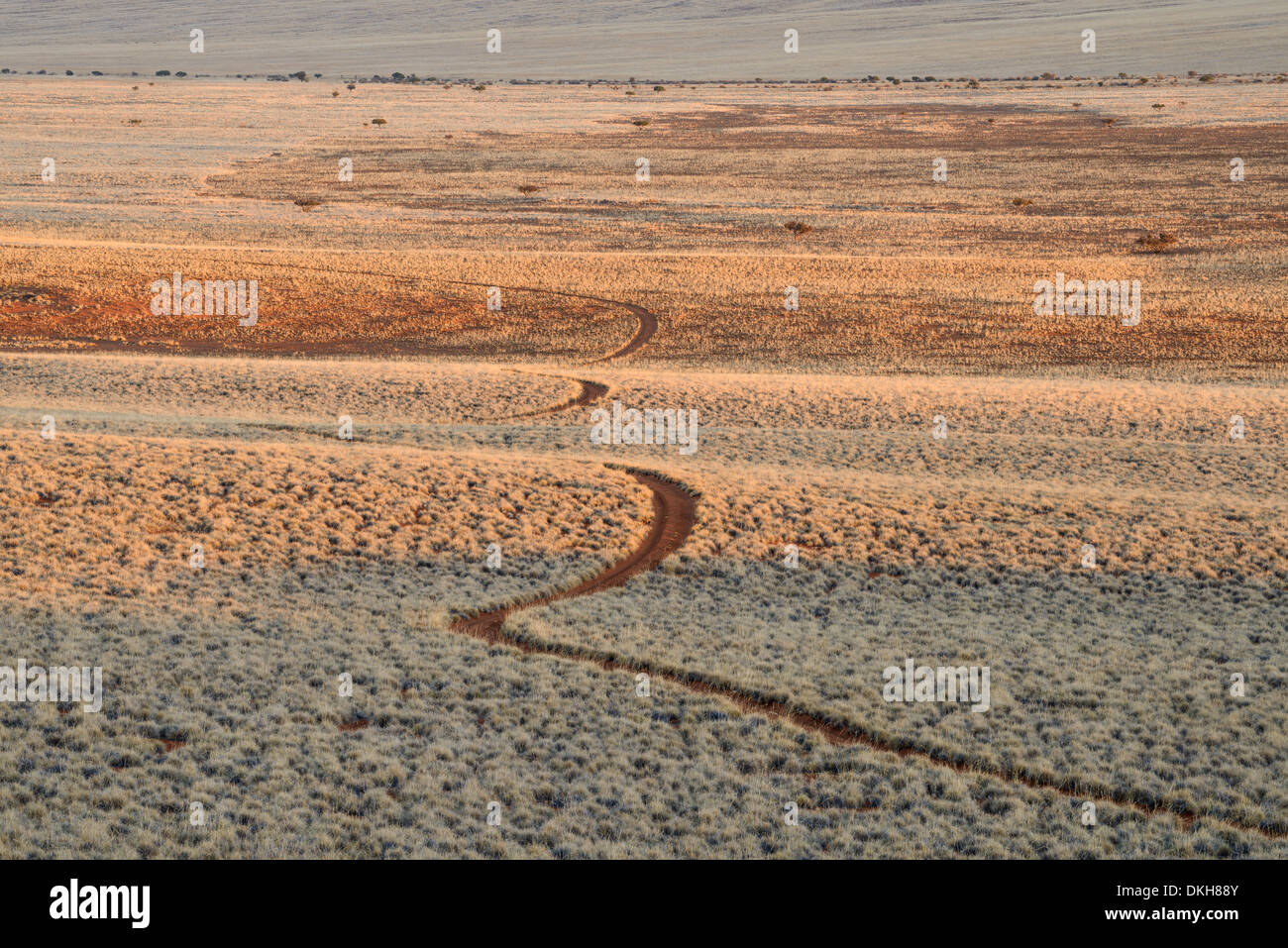 Early morning light on the track through the plains of NamibRand Nature Reserve, Namib Desert, Namibia, Africa Stock Photo