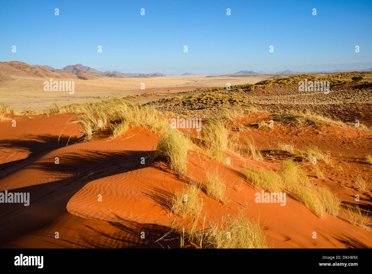 The red oxidised sand of the NamibRand dunes, Namib Desert, Namibia, Africa Stock Photo