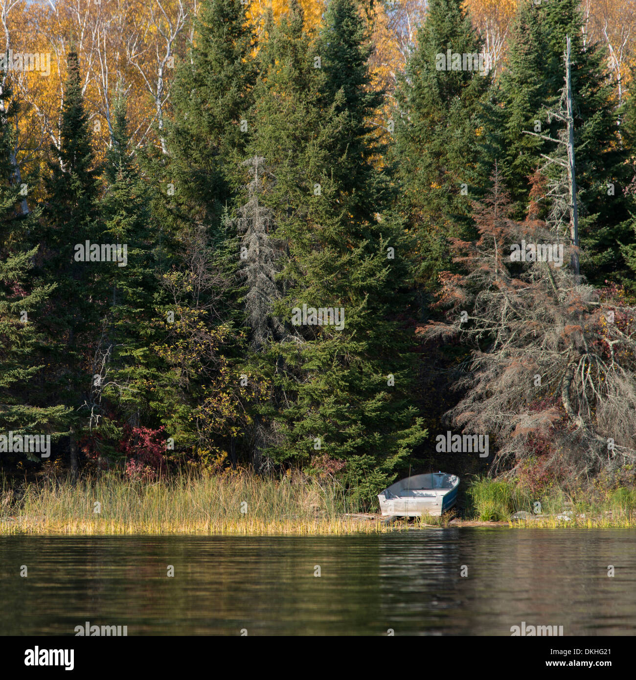 Rowboat at the lakeside, Kenora, Lake of The Woods, Ontario, Canada