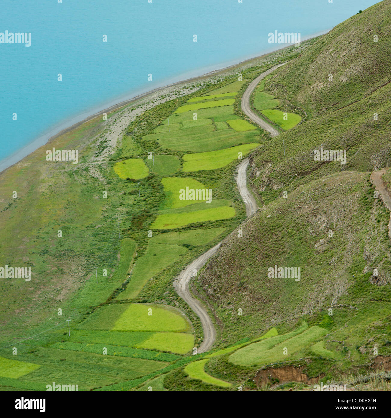 Aerial view of road passing through agricultural fields along Yamdrok Lake, Nagarze, Shannan, Tibet, China Stock Photo