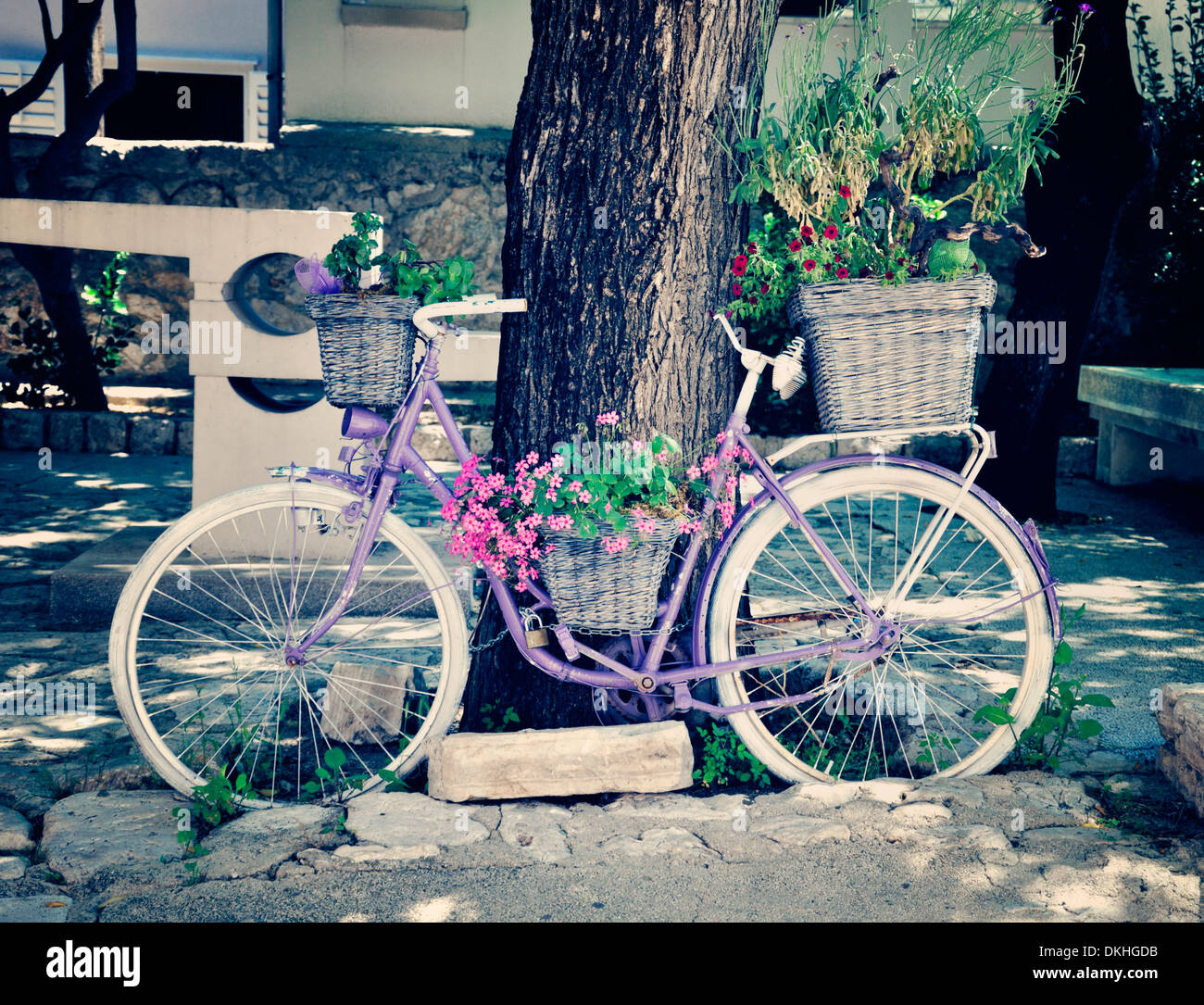 Vintage bicycle with flowers in basket Stock Photo Alamy