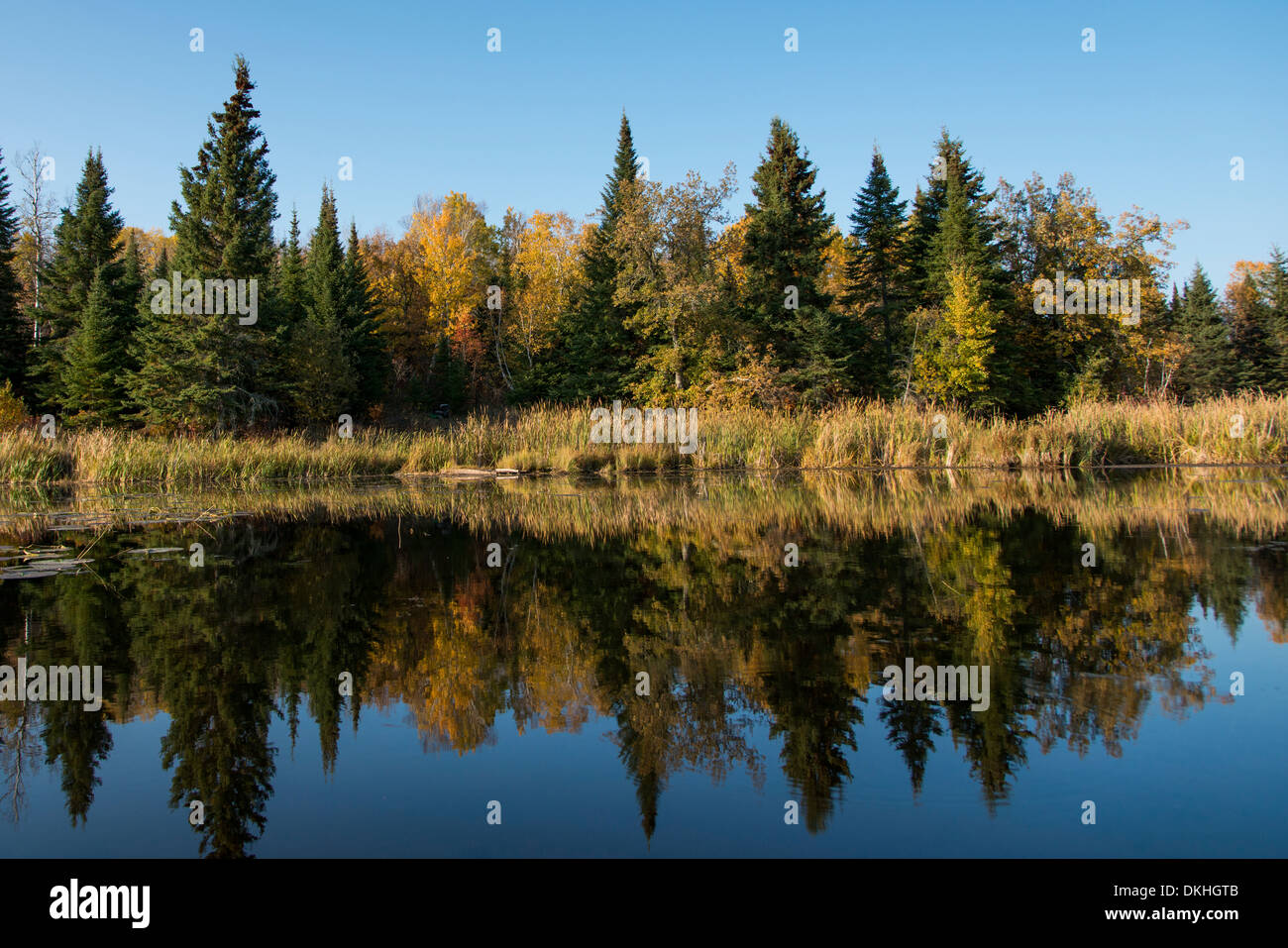 Reflection of trees in water, Kenora, Lake of The Woods, Ontario